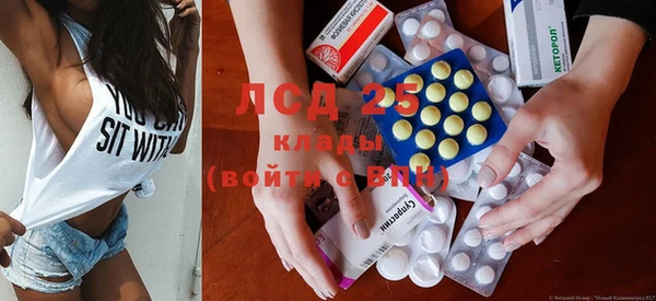 гидра Володарск