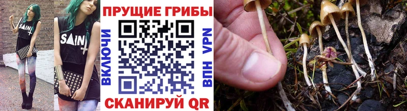 Галлюциногенные грибы Magic Shrooms ОМГ ОМГ tor Чехов